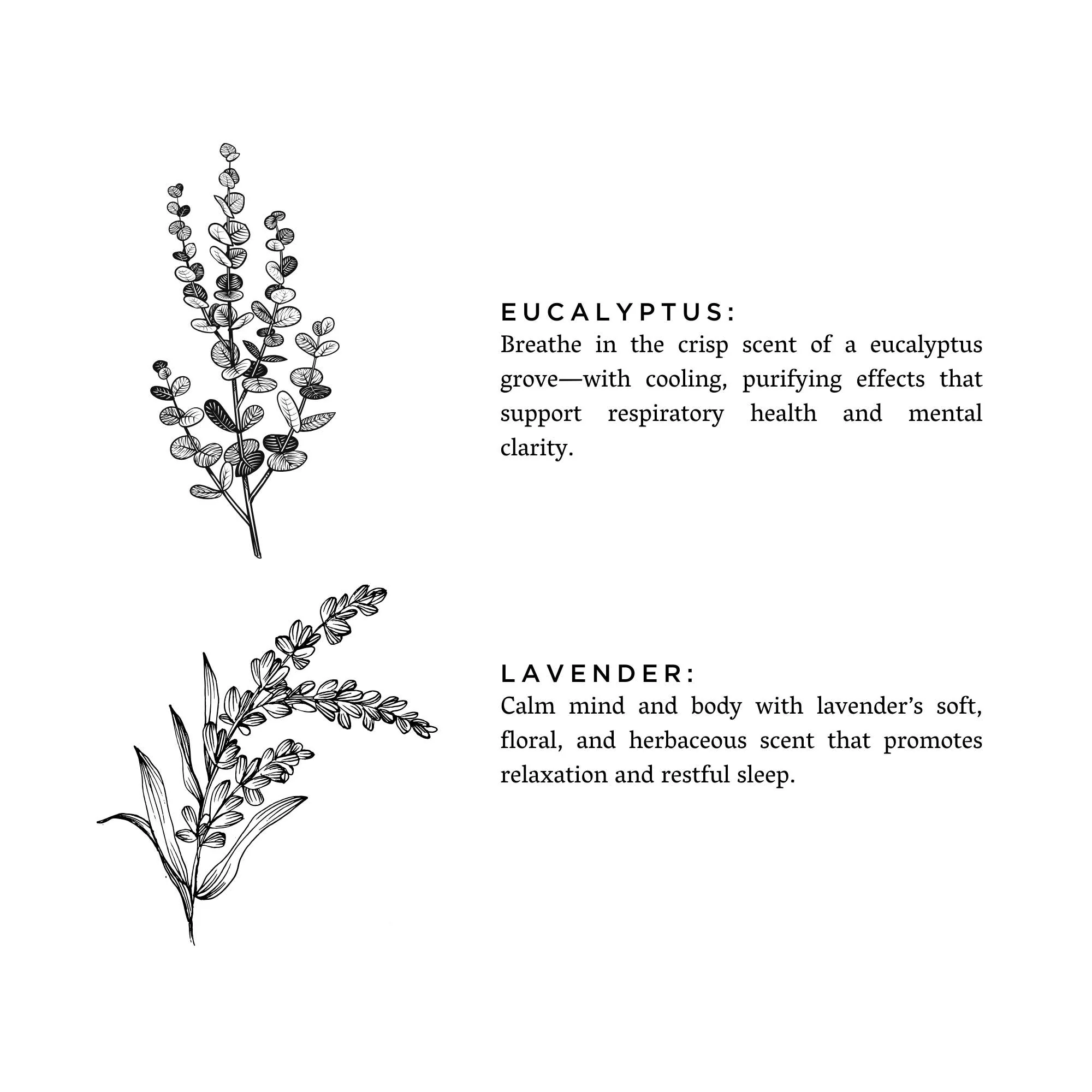 Eucalyptus + Lavender Non-Toxic Soy Candle, Essential Oils, Holiday Favorite - Image 8