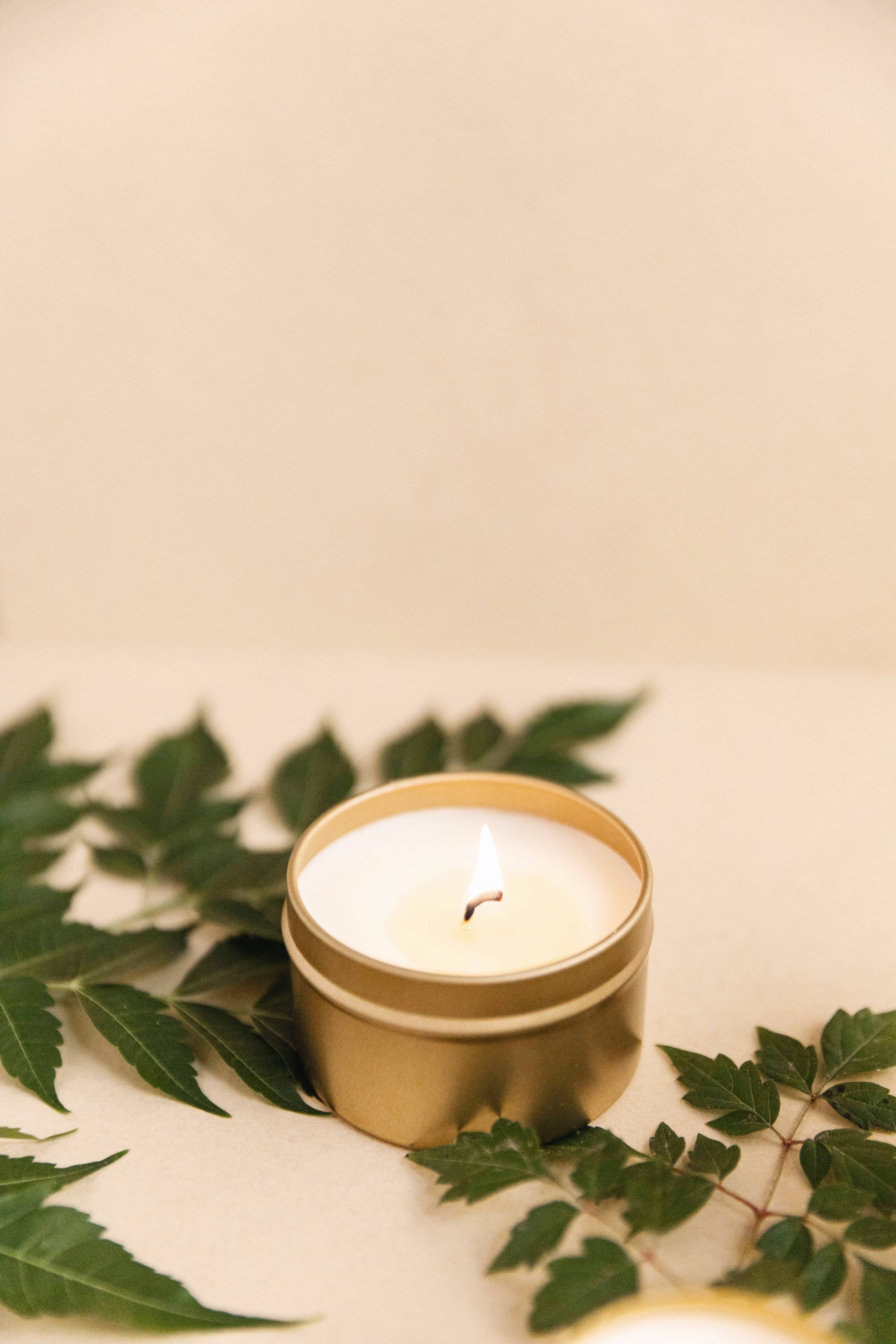 Forest Bathing Travel Tin Candle - Image 3