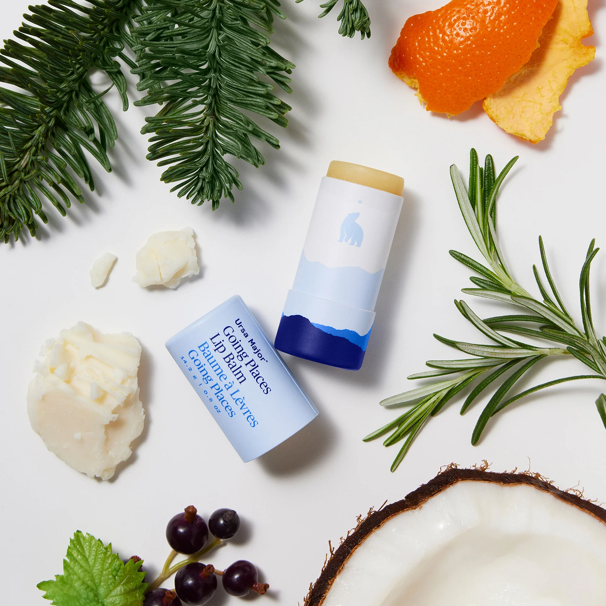 Going Places Lip Balm - Image 5