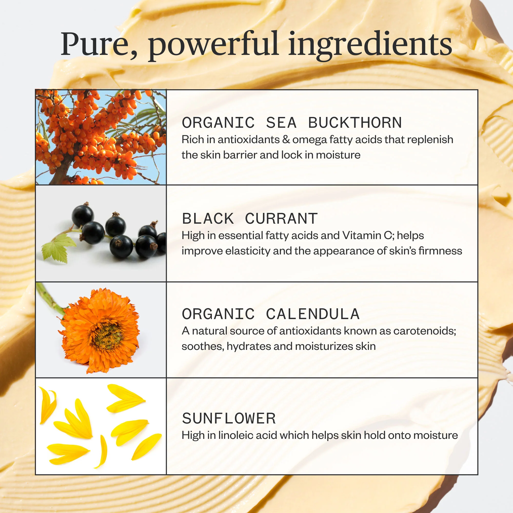Golden Hour Recovery Cream - Image 8