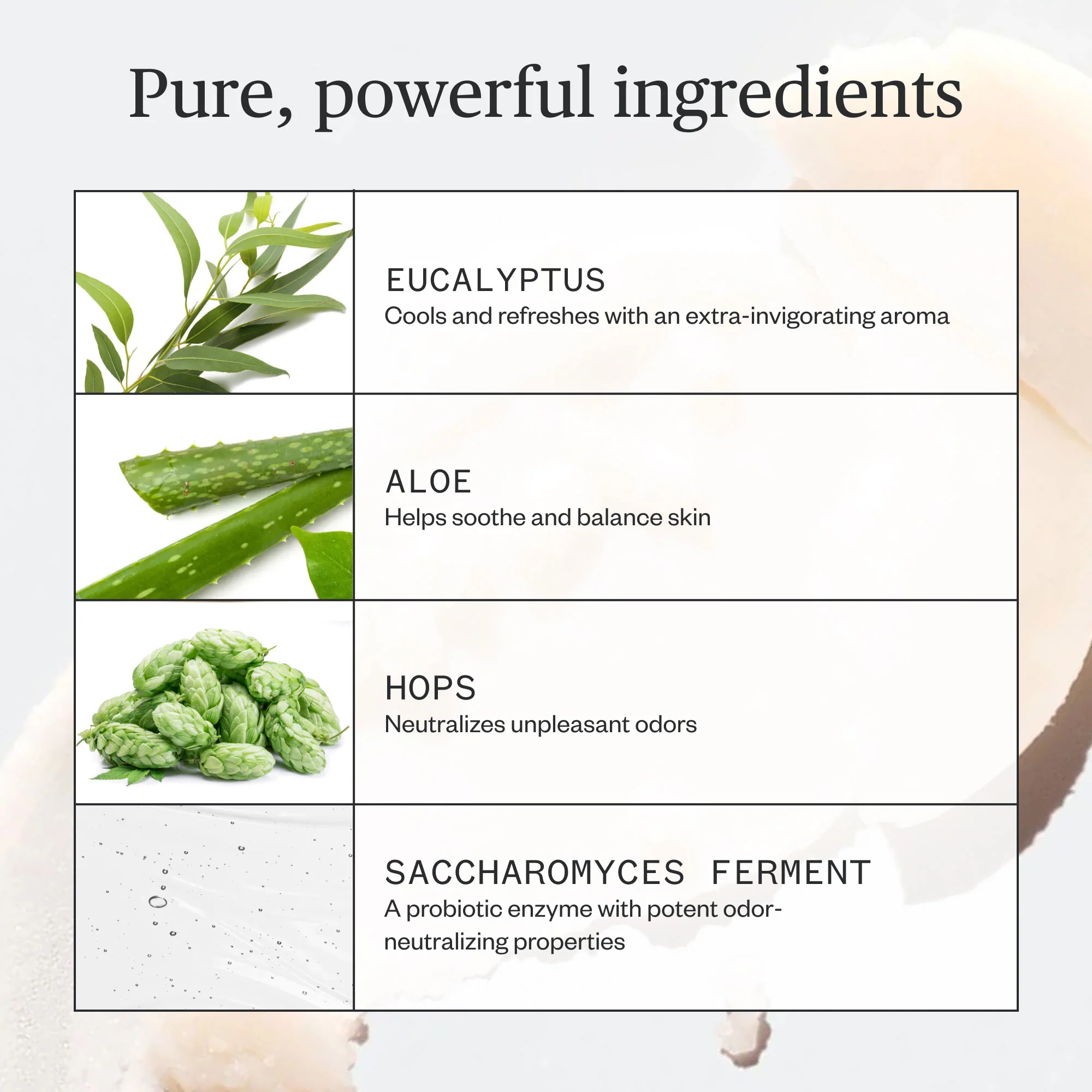 Hoppin' Fresh Deodorant - Image 7