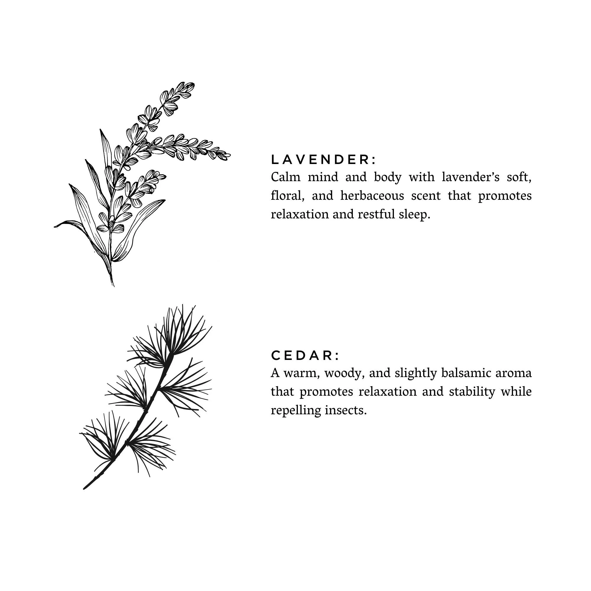 Lavender + Cedar Candle - Image 7
