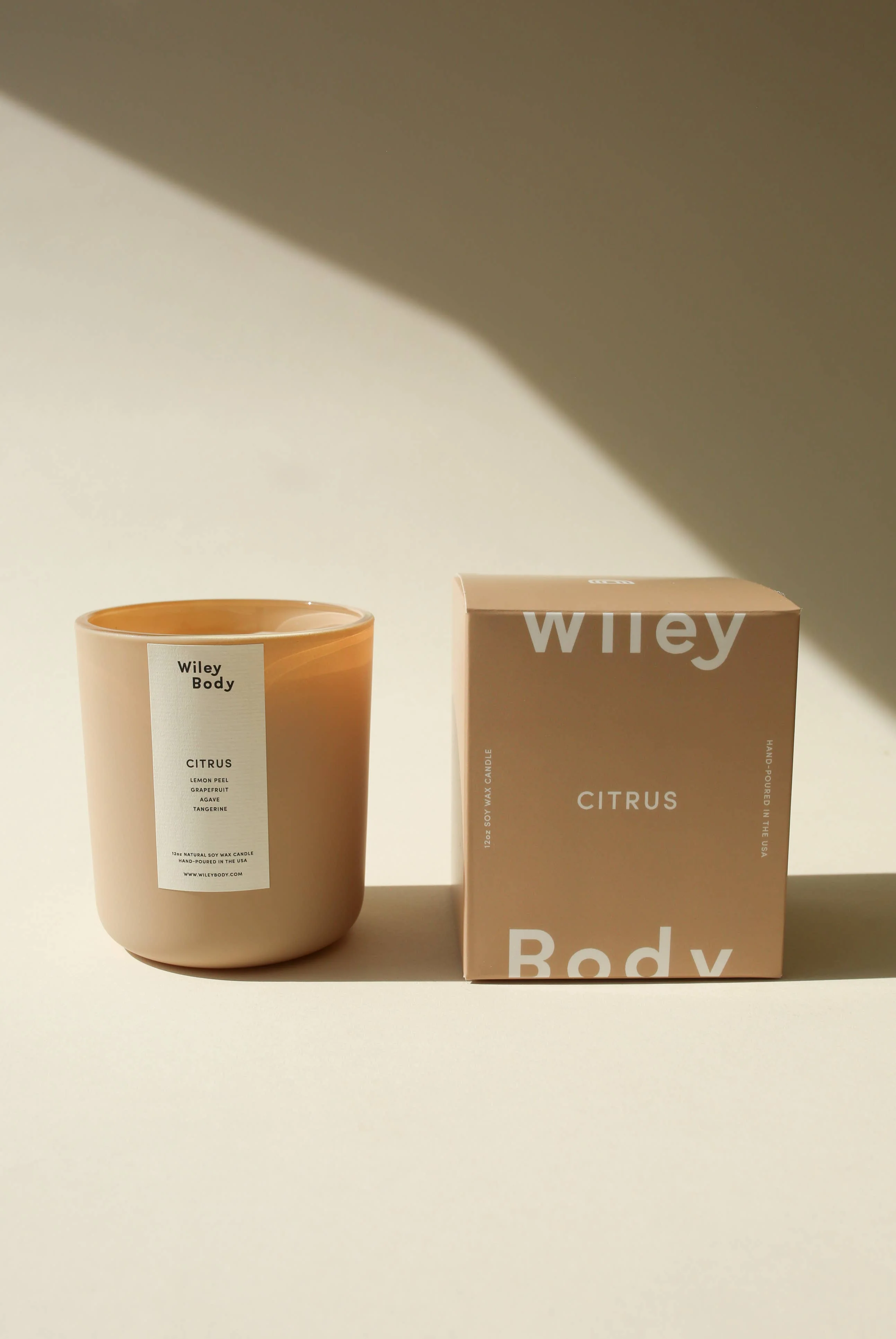 The Candle - Image 4